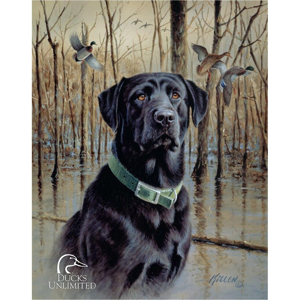 Painting of a black dog in a wetland with ducks in the background, featuring the Ducks Unlimited logo.