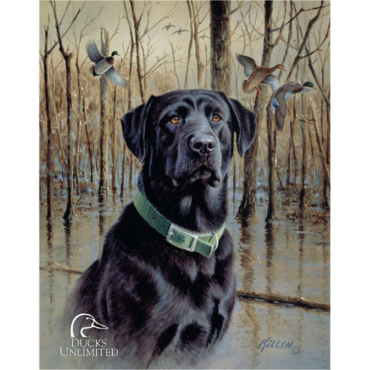 Painting of a black dog in a wetland with ducks in the background, featuring the Ducks Unlimited logo.