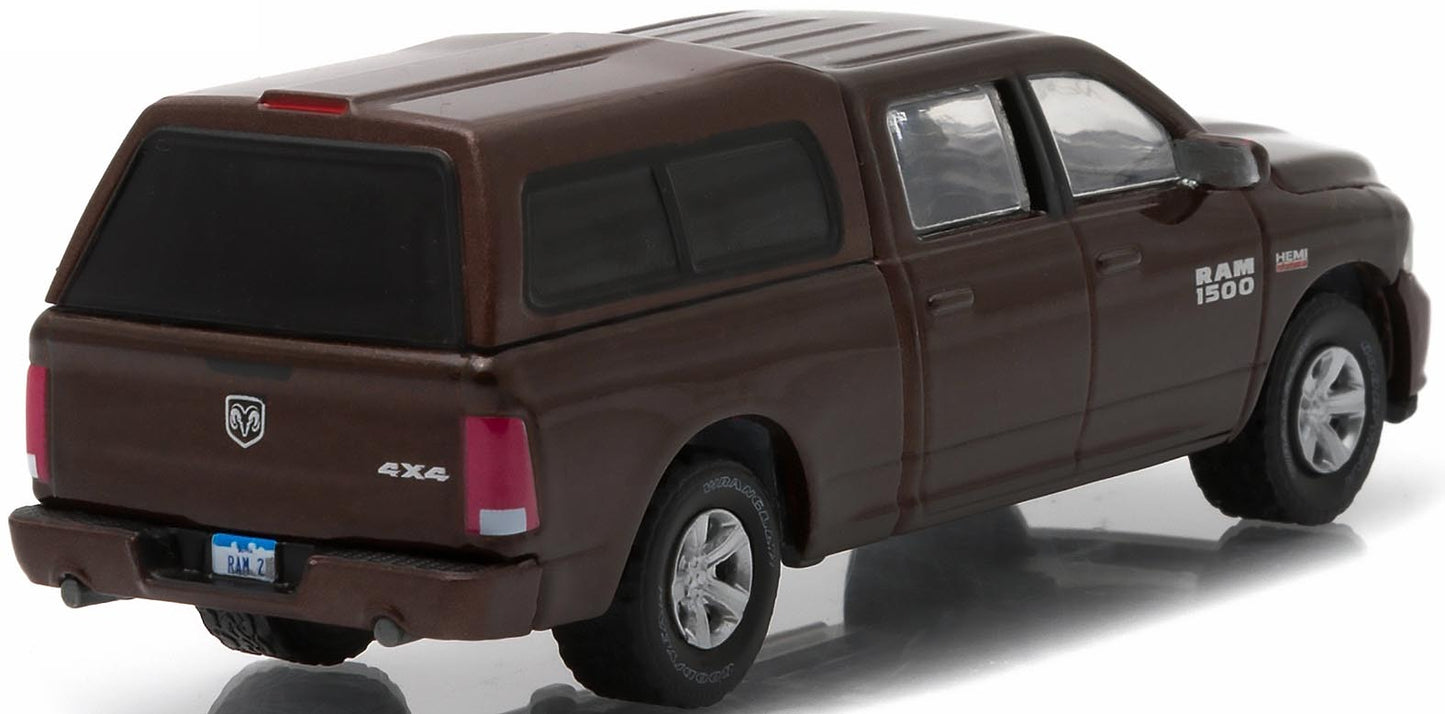 2014 Ram 1500 with Camper Shell (Brown)