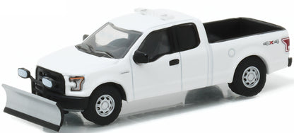 2015 Ford F-150 w/Snow Plow & Roof Light (White)