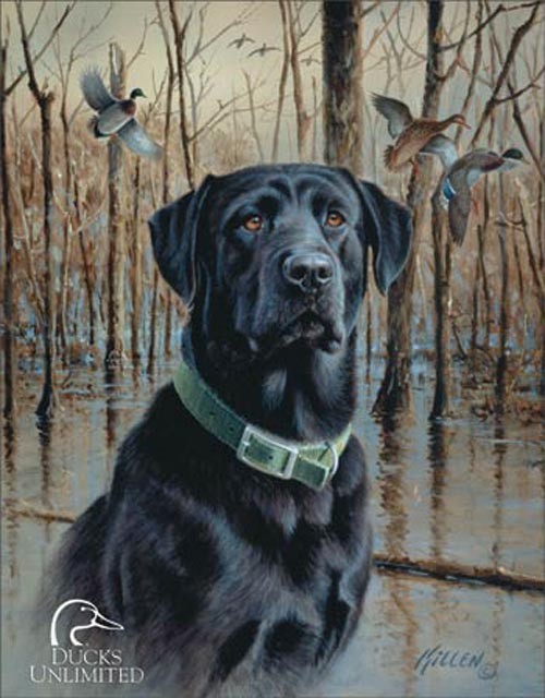 Ducks Unlimited - Great Retrievers