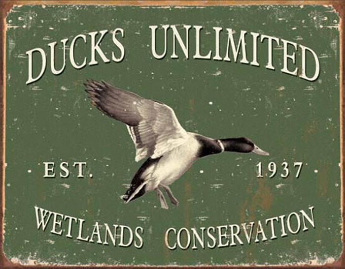 Ducks Unlimited - Since 1937 (Weathered)