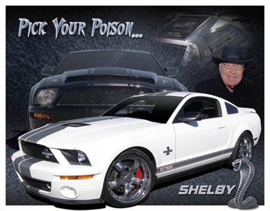 Shelby Mustang - Pick Your Passion