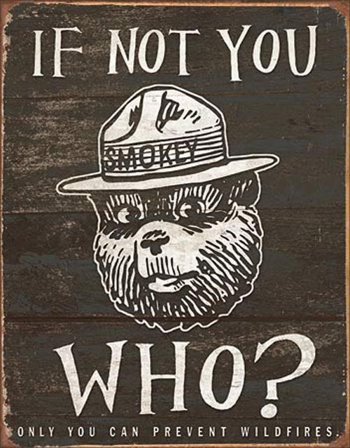 Smokey Bear - If Not You Who? (Weathered)