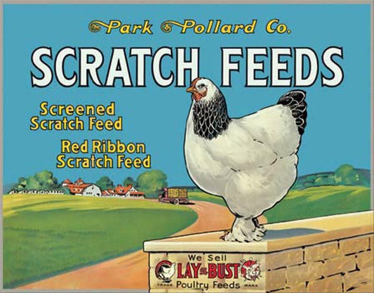 Scratch Feeds