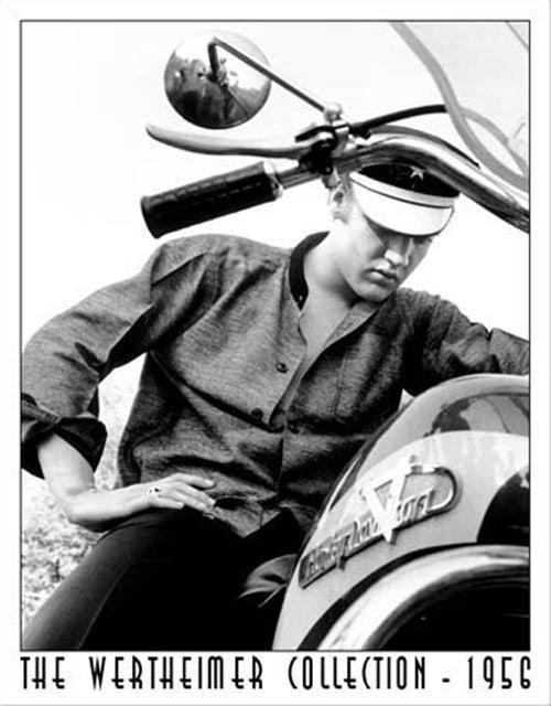 Wertheimer - Elvis On Bike