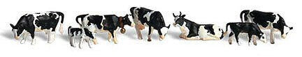 Holstein Cows (Black & White) (7)